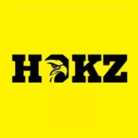 Hokz Tech Solution Company Logo