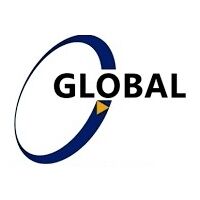Global business Softwares & Accounting services Company Logo