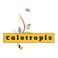 Calotropis Software Solutions Company Logo