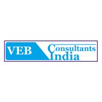 VEB India Consultants Company Logo