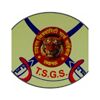 Tiger security guard services Company Logo