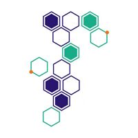 BeSure Path Lab Company Logo