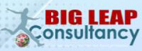 Big Leap Consulting Company Logo