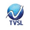 Techvivid systems Company Logo