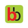 BIG BASKET Company Logo