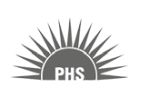 Professional HR Solutions Company Logo