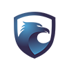 Security Iris Global Immigration Company Logo