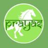 Prayas Consultancy Services Company Logo