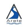 arete it services Company Logo