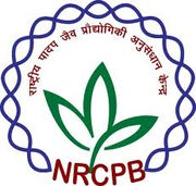 NATIONAL RESEARCH CENTRE ON PLANT BIOTECHNOLOGY Company Logo