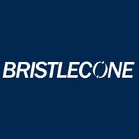 Bristlecone Company Logo