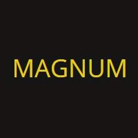 Magnum Training And Placement Company Logo
