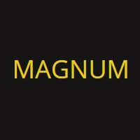 Magnum Training and Placement Company Logo