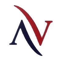 ACE VENTURE SERVICES Logo
