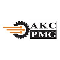 PMG Consultants Company Logo