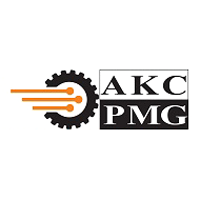 PMG Consultants Logo