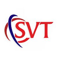 Secure Vision Technologies Company Logo