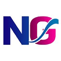NG Placement Services logo