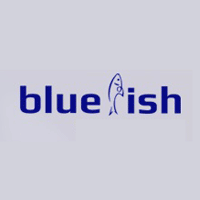 bluefish consultancy logo