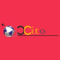 Xito Visa Services Company Logo
