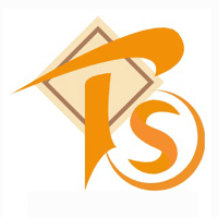 Tech System Solutions logo