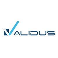 validus soft Company Logo