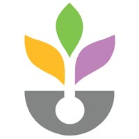 Calotropis Software Solutions Company Logo