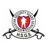 hindustan securities services ltd. Company Logo