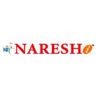 Naresh I Technologies Company Logo