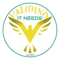 Valmind IT Needs Private Limited logo