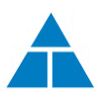 Thodeti Management Consultants Company Logo
