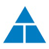 Thodeti Management Consultants logo