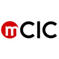 mCritical Infrastructure Consulting Company Logo