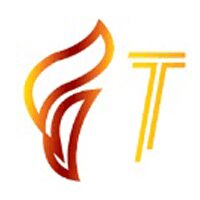 FTechiz Solutions Company Logo
