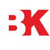 Brand Kare Company Logo