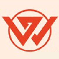 Valuewings Company Logo