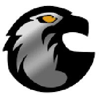 Choudhary Security Services Company Logo
