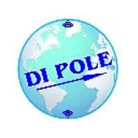 DI POLE Solutions Pvt. Ltd. Company Logo