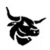 Bullskart Company Logo