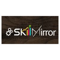 Skillmirror Company Logo