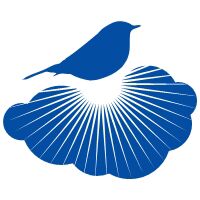 Silverline Recruitments Company Logo