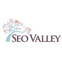 SEOValley Solutions Pvt Ltd. Company Logo