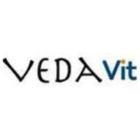 Vedavit IT Solutions Company Logo
