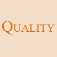 Quality Solution Technology Company Logo