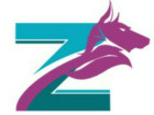 Zeev HR Consultants & Placement Services Company Logo