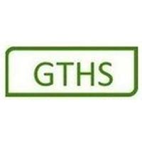 GTHS International Pvt Ltd logo