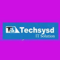techsysd Company Logo