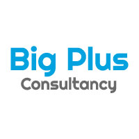 Bigplus Consultancy Service Company Logo