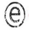 EMBLEM SYSTEMS logo