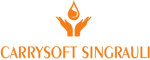 CARRY SOFT LIMITED Company Logo